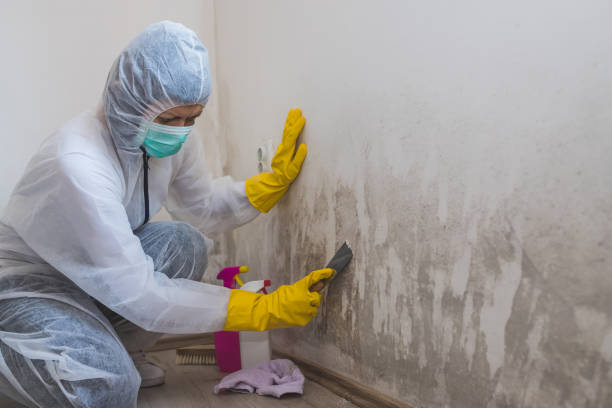 Best Mold Removal Near Me  in Sharon, MS