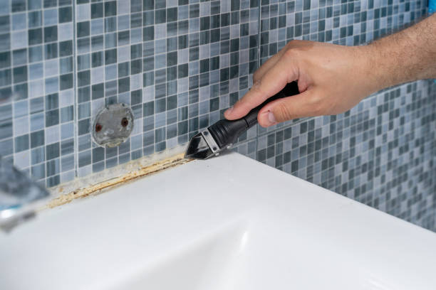 Best Attic Mold Removal  in Sharon, MS