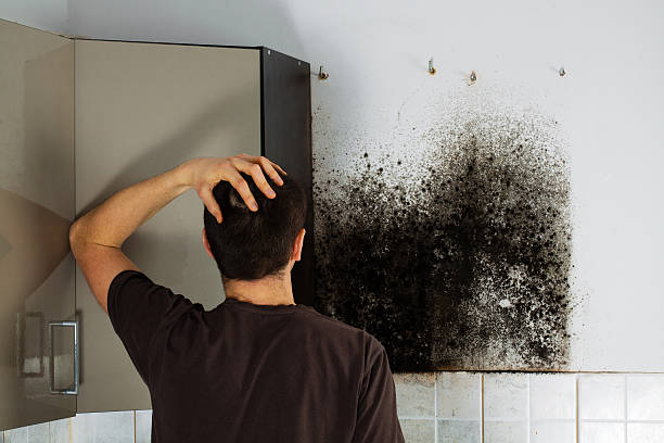Best Residential Mold Removal  in Sharon, MS